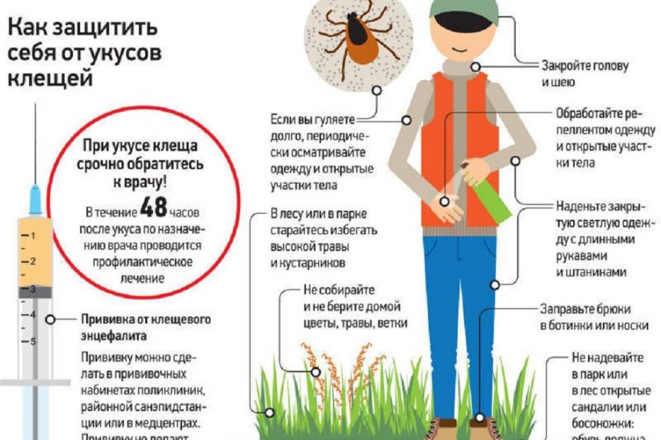 Осторожно: клещи проснулись