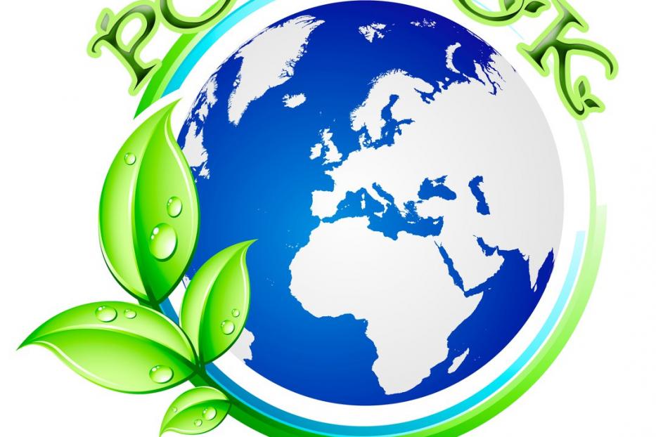В ДЭБЦ «Росток» проходит «Неделя экологической грамотности»