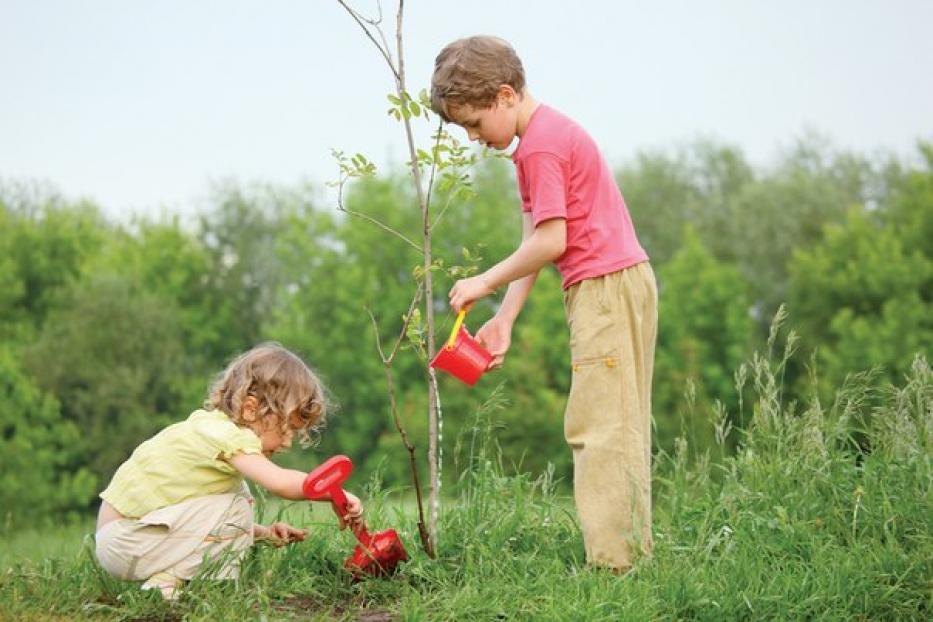 Экологическое воспитание станет важной частью детского оздоровительного отдыха в 2013 году 