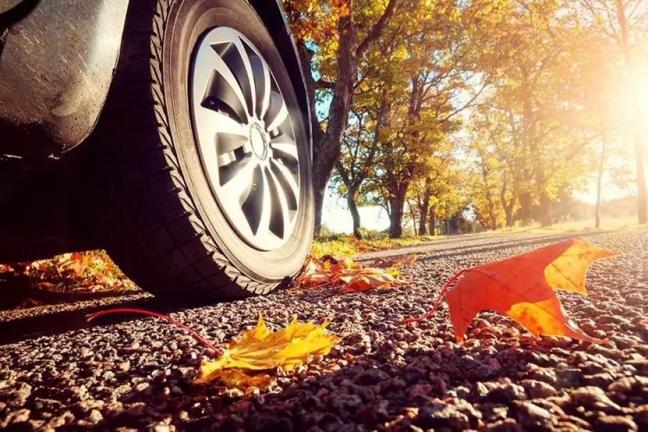 Осень – время быть еще внимательнее на дорогах 