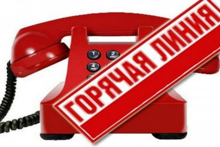 Состоится «горячая линия» по вопросам организации досуга молодежи