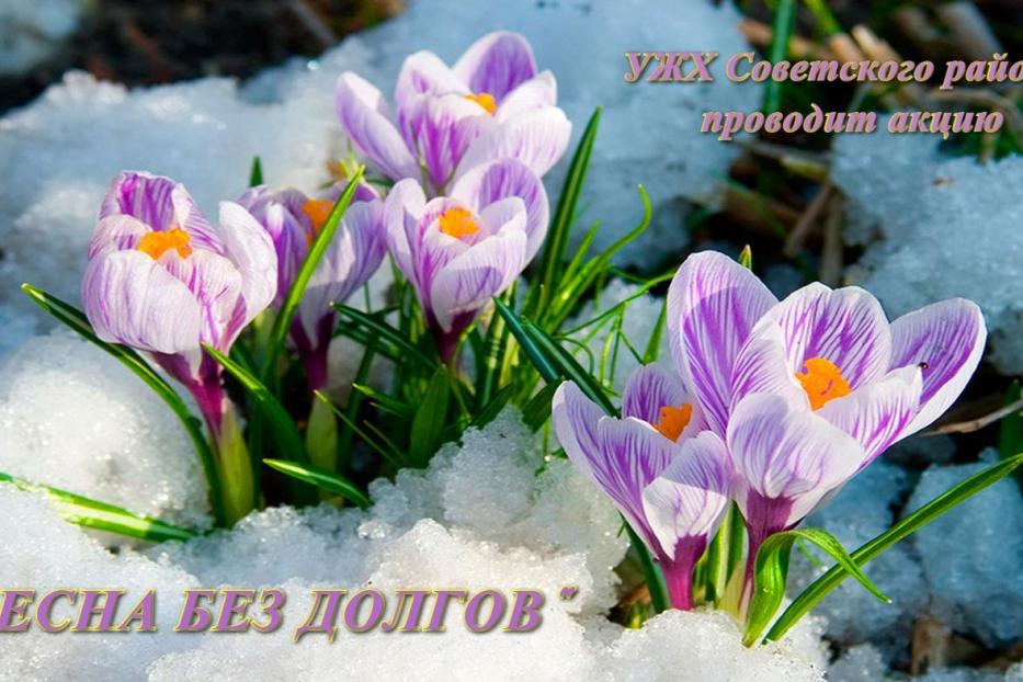 В Советском районе Уфы пройдёт акция «Весна без долгов»