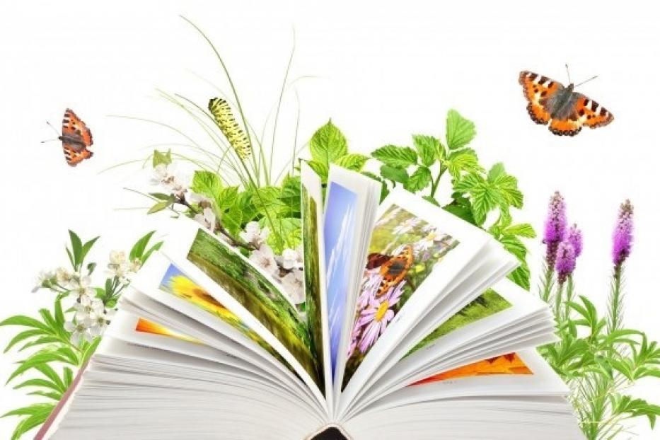 12 мая отмечается День экологического образования