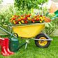 В Уфе пройдут тематические ярмарки выходного дня «Все для сада и огорода»