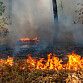 В Республике Башкортостан действует особый противопожарный режим