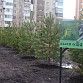 В Уфе пройдут экологические акции «Зелёная Башкирия» и «Сад памяти»