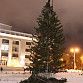 На Советской площади установили новогоднюю елку