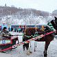Парадом конно-санных экипажей в Уфе завершился новогодний фестиваль «TERRA ZIMA»