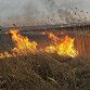 Пожарные локализовали горение сухой травы на окраине Уфы