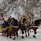 Новогодний фестиваль «TERRA ZIMA» завершился Парадом конно-санных экипажей