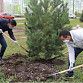 Уфимцев приглашают принять участие в экологической акции «Зелёная Башкирия»