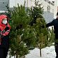В Уфе стартовала экологическая акция по утилизации новогодних елей «Ёлки в щепки»